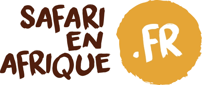 Safari en Afrique