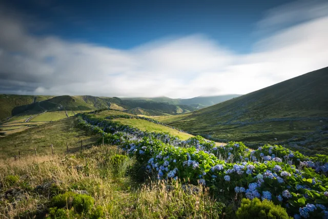 Açores landscape