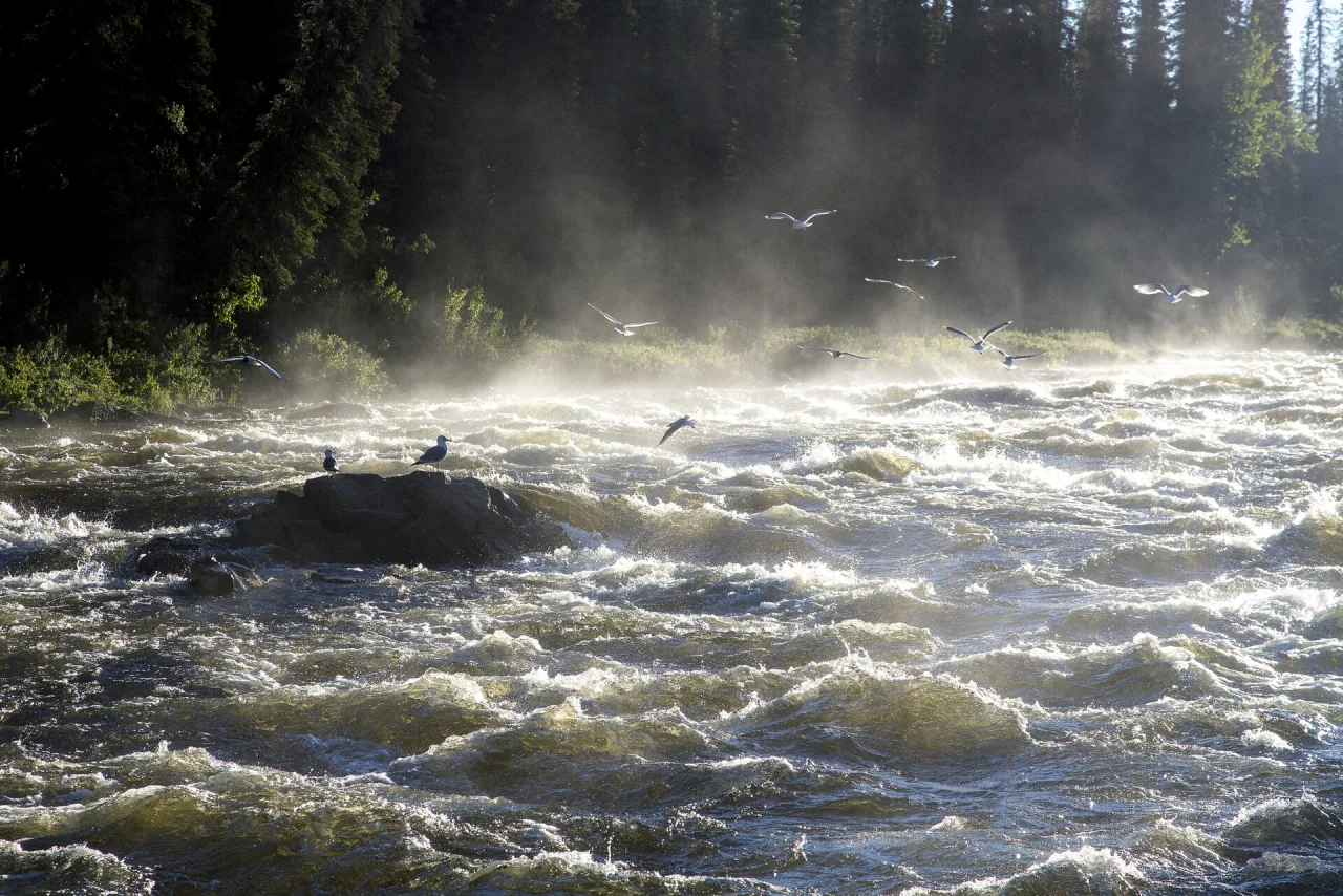 Alaska — guide de voyage