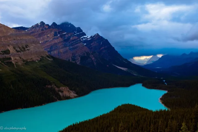 Alberta — hub principal region
