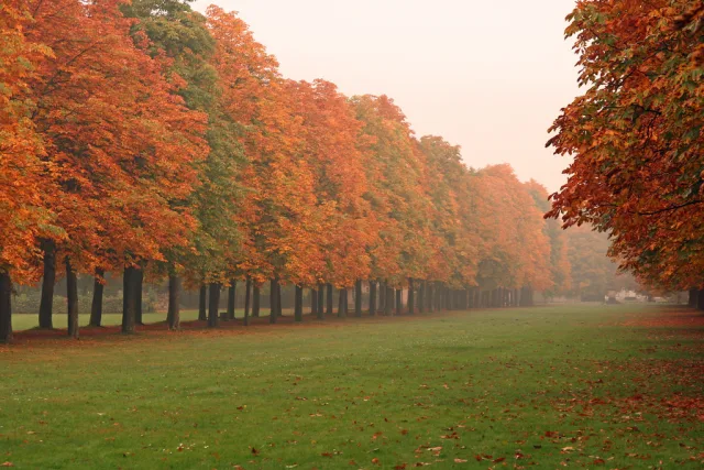 Allemagne — quand partir