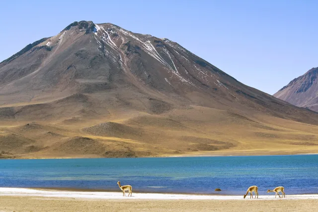 Altiplano — hub principal region