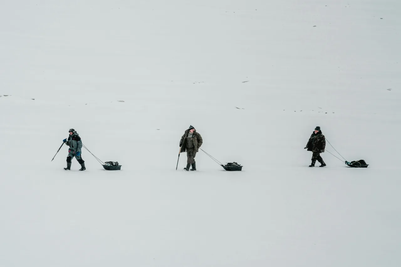 Antarctique — top activites