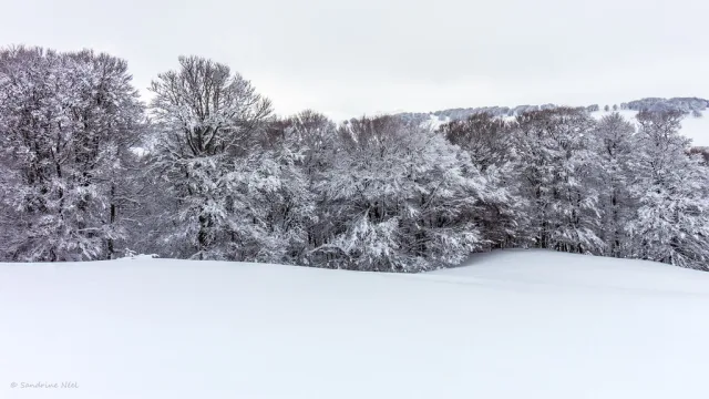 Auvergne landscape
