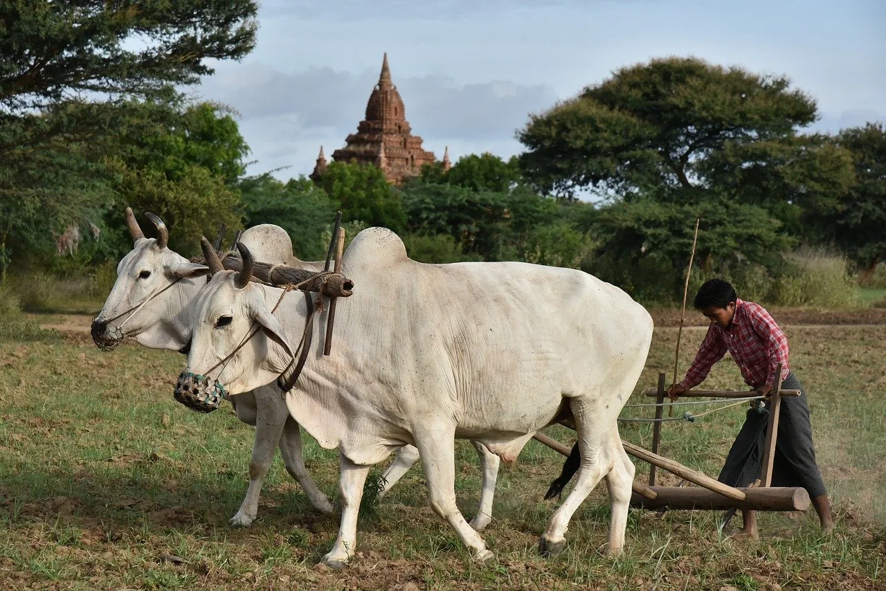 Région de Bagan — ou dormir