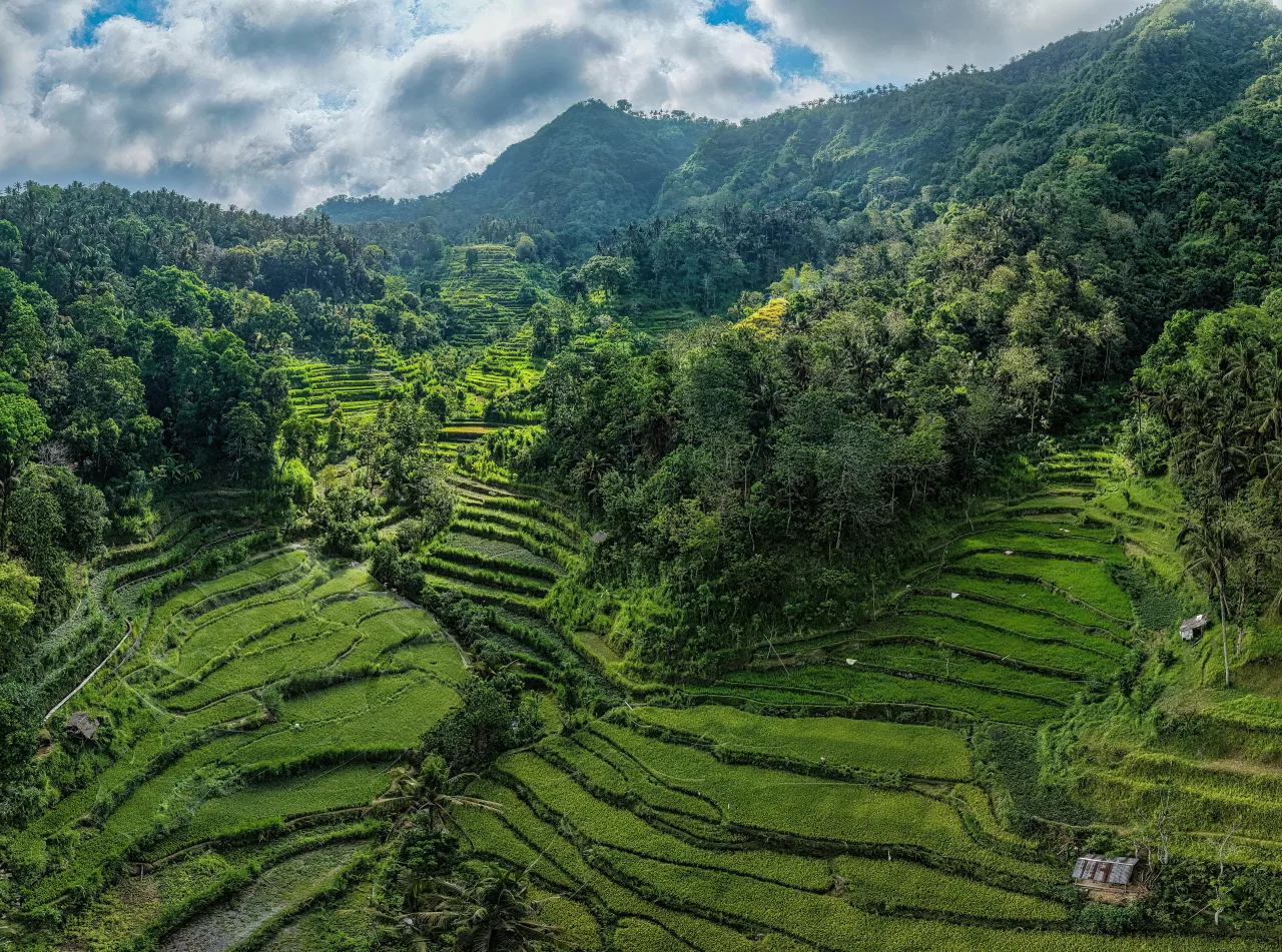 Bali — guide de voyage