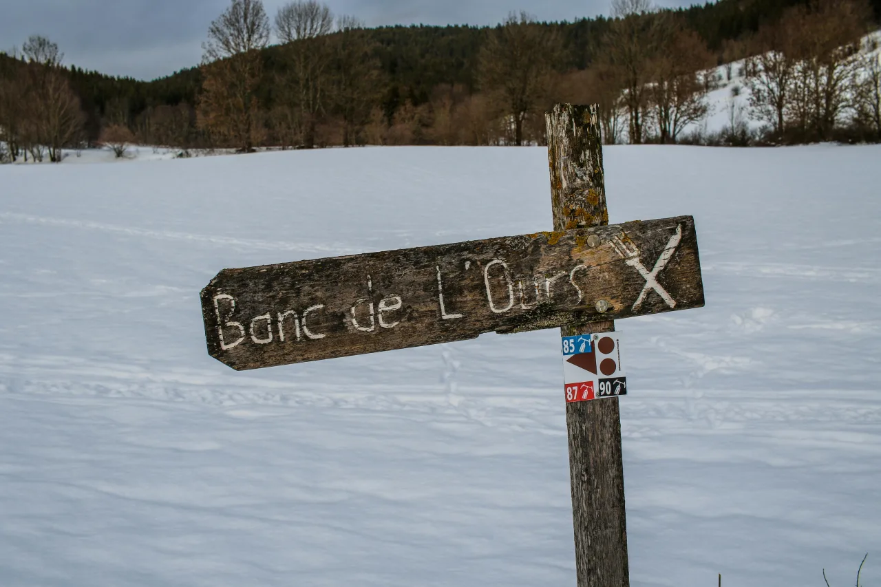 Banc d'Arguin — guide de voyage