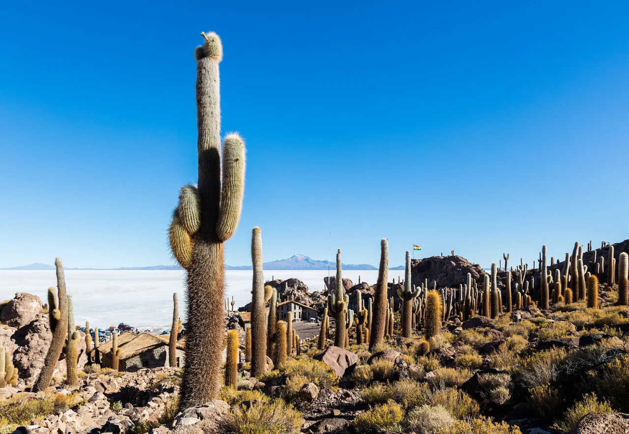 Bolivie — guide de voyage