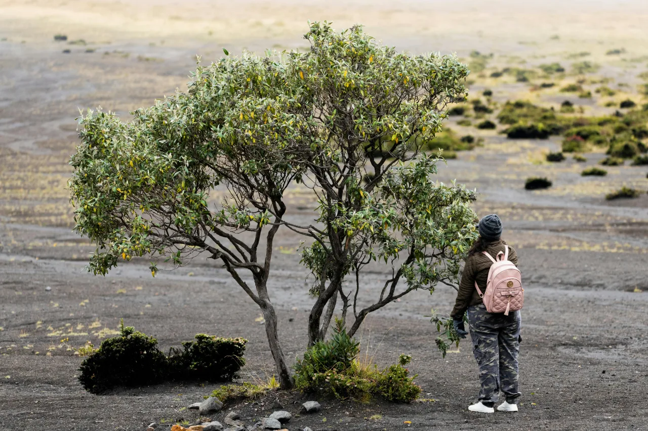 Bolivie — itineraire 1 mois