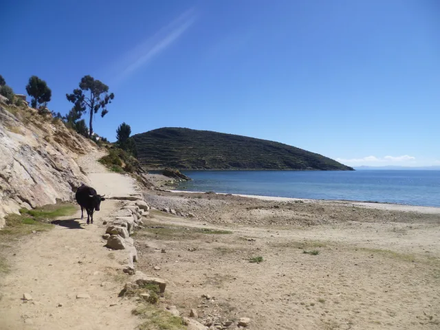 Bolivie — plages