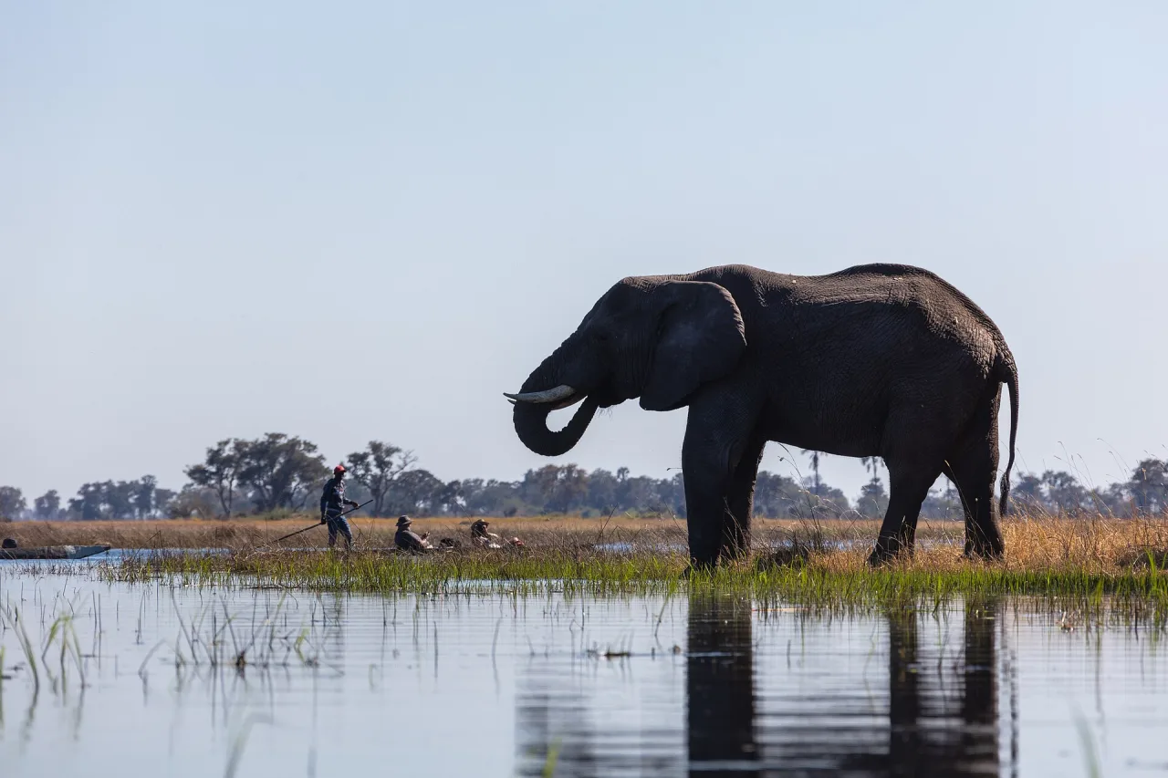 Botswana — guide de voyage