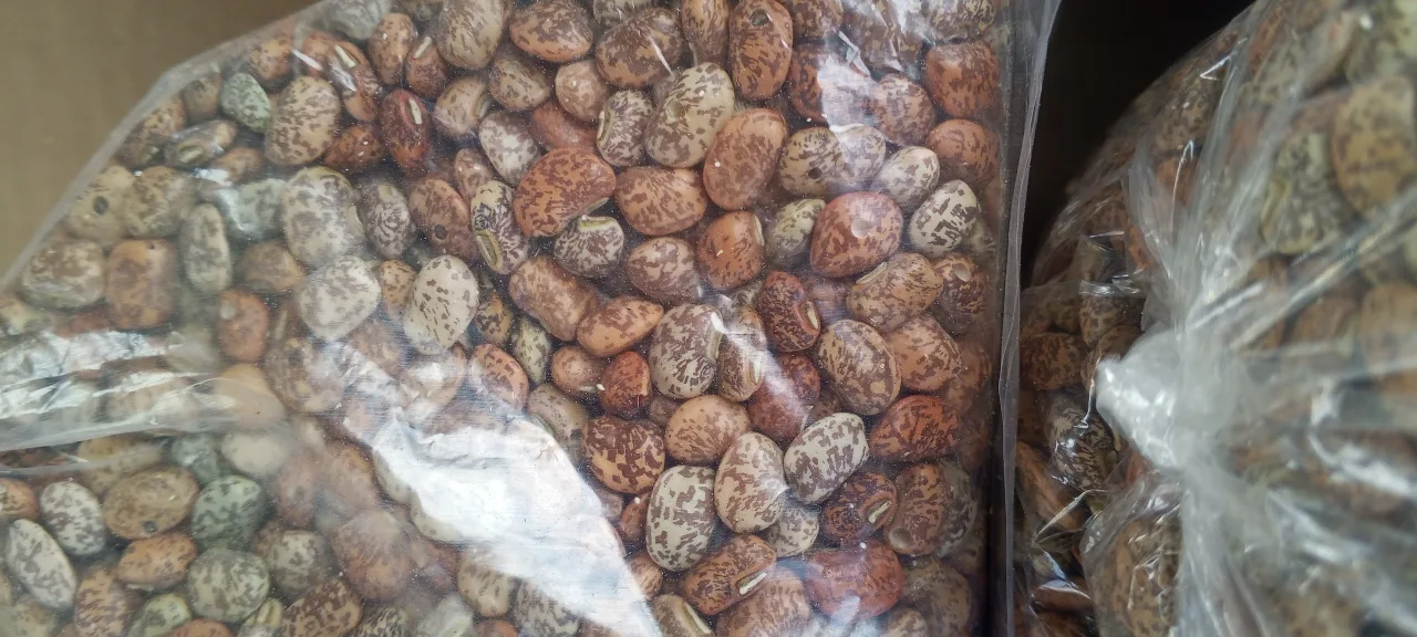 Botswana — gastronomie