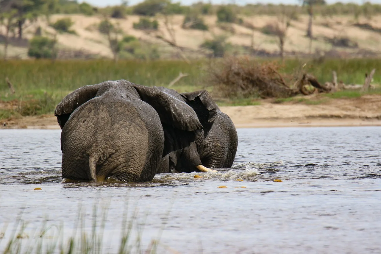 Botswana — incontournables