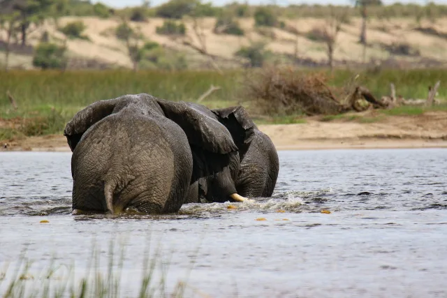 Botswana — incontournables