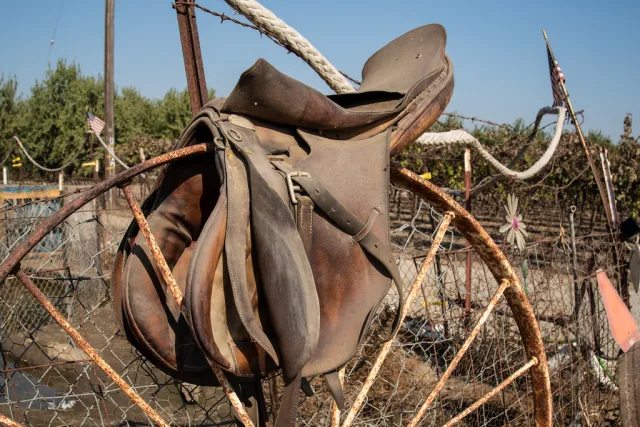 Botswana — quand partir