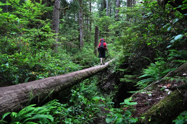 Canada — trek randonnee