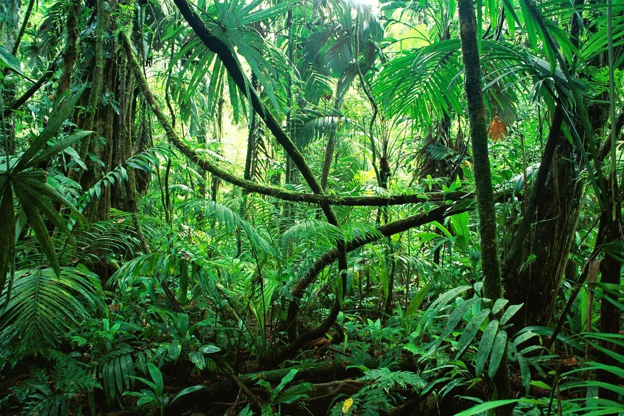 Chiapas — que voir