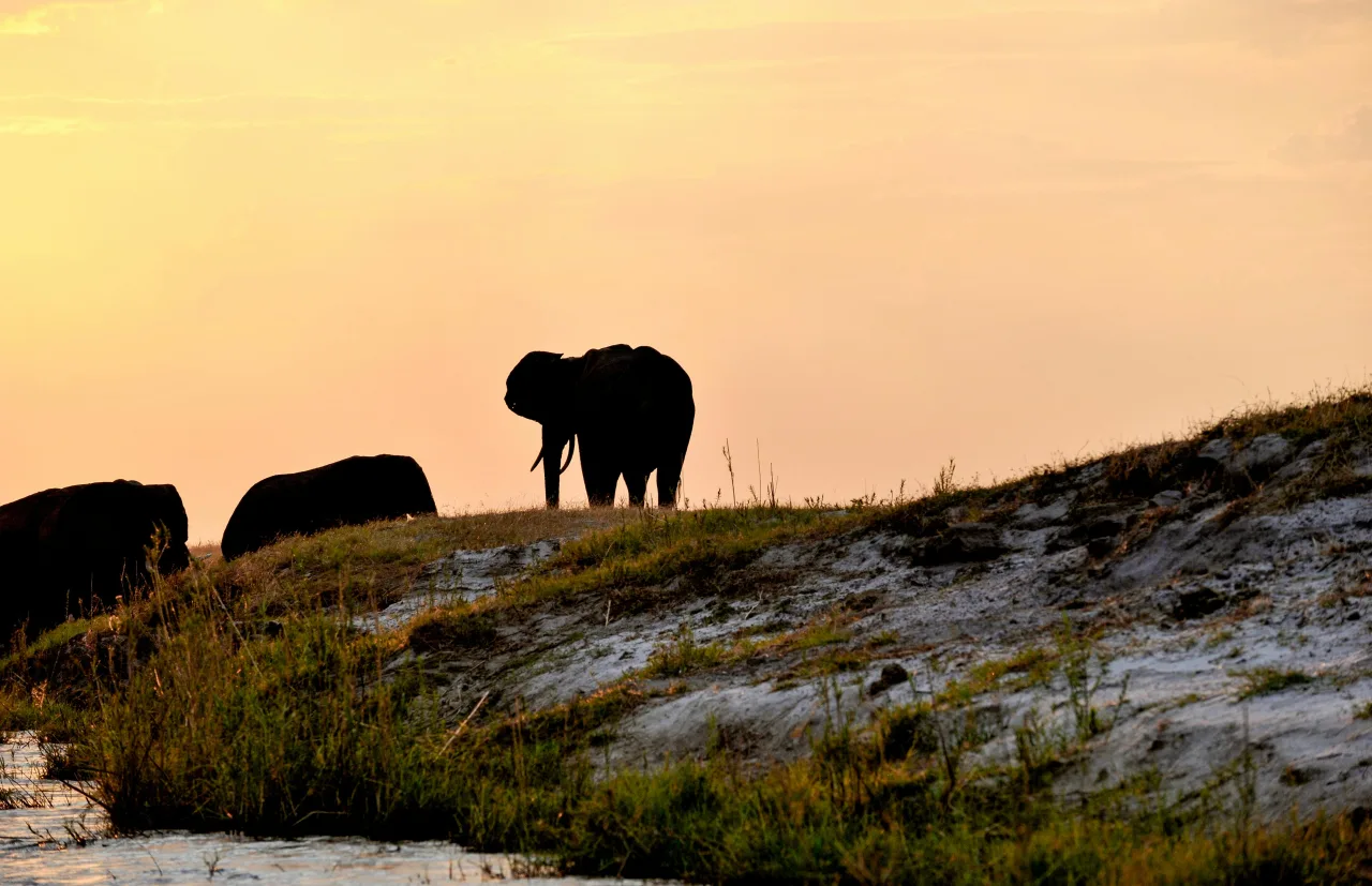 Parc Chobe — guide de voyage