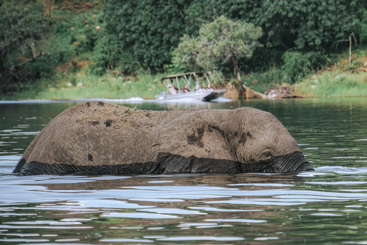 Parc Chobe — que voir