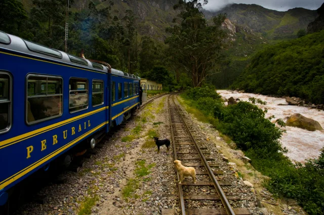 Colombie — train