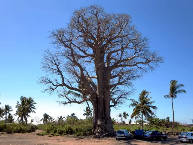 Comores — hub principal pays