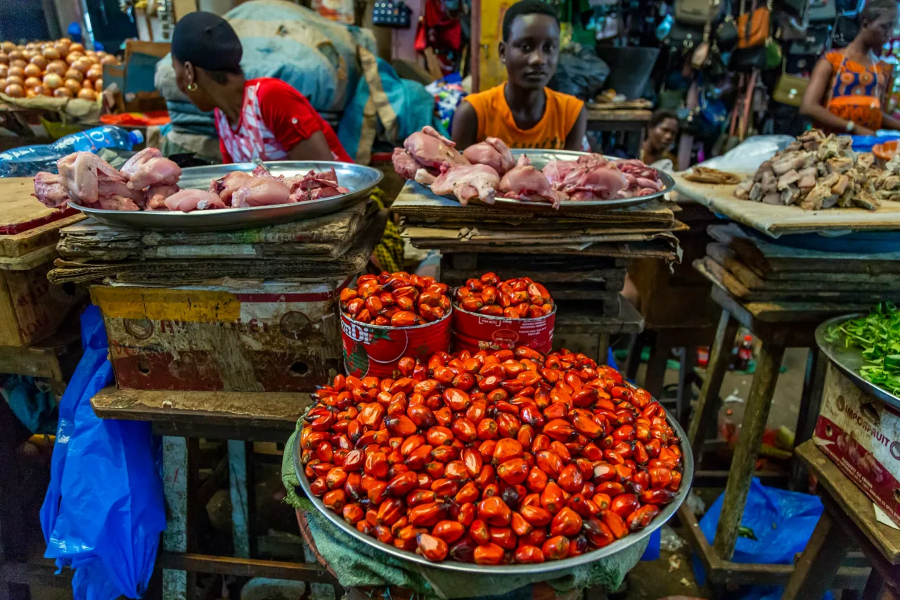 Cote D'Ivoire — budget