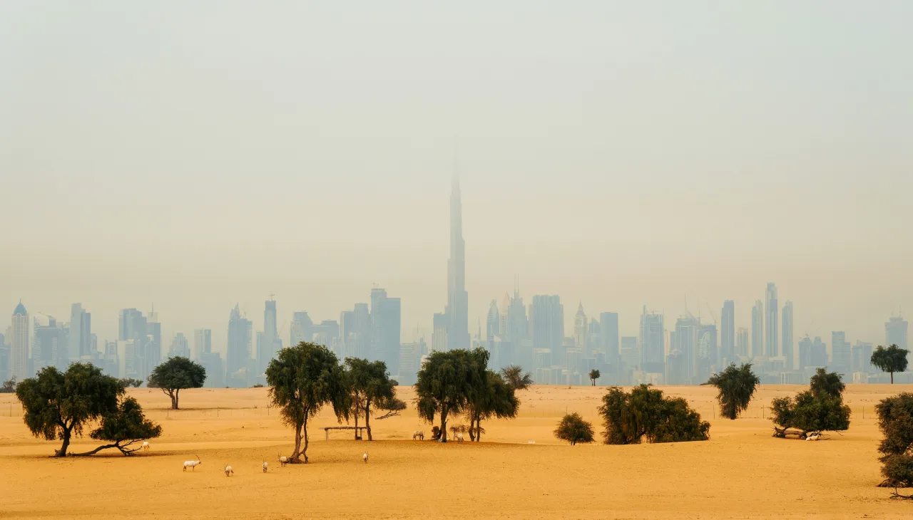 Dubai — guide de voyage