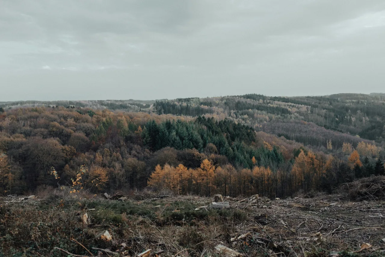 Forêt-Noire — guide de voyage