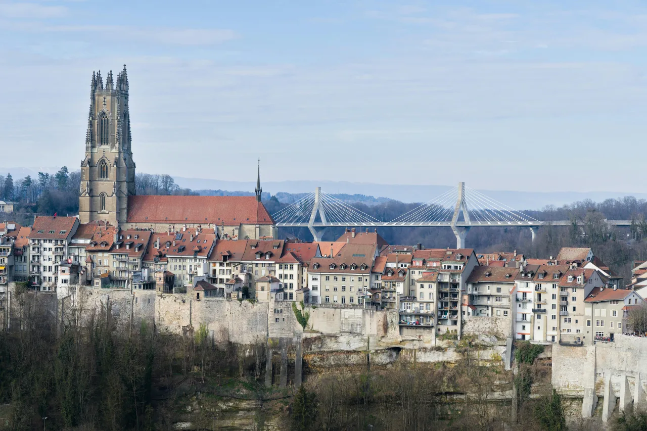Fribourg-en-Brisgau — hub principal ville