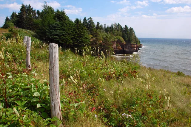Gaspésie — hub principal region
