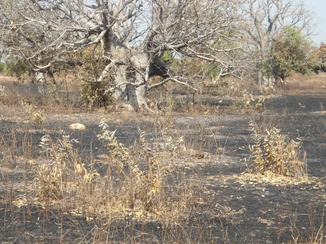 Ghana — quand partir