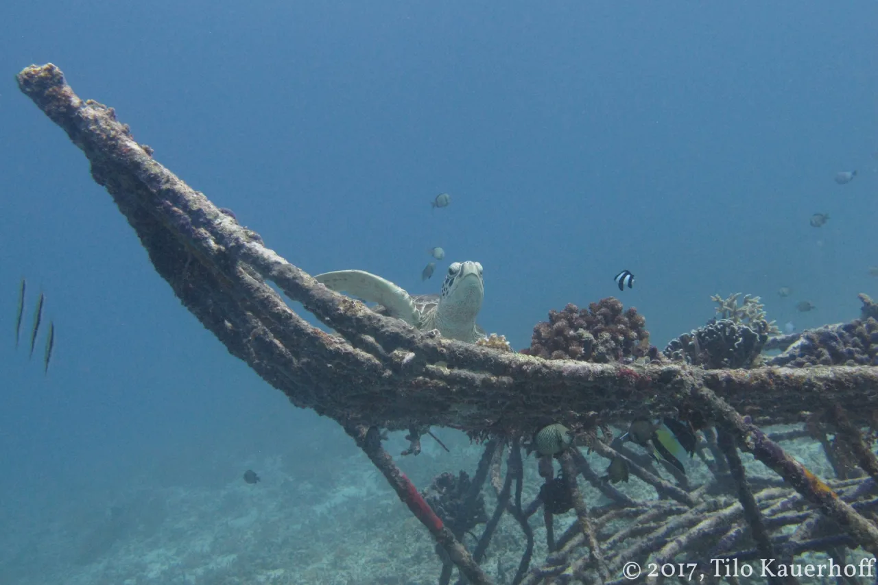 Gili — guide de voyage