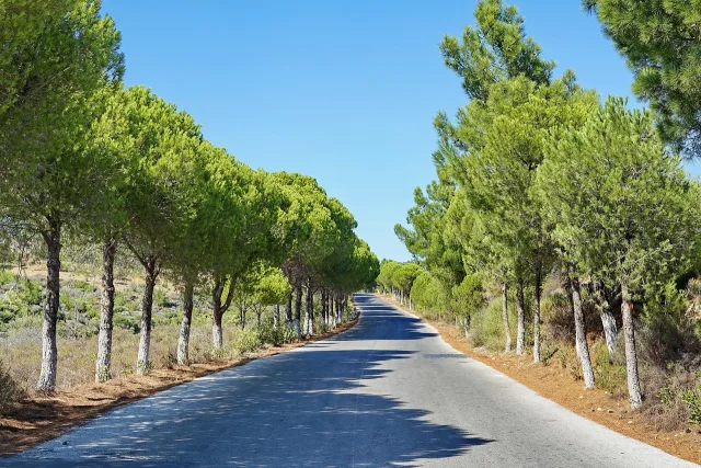 Grèce — location voiture