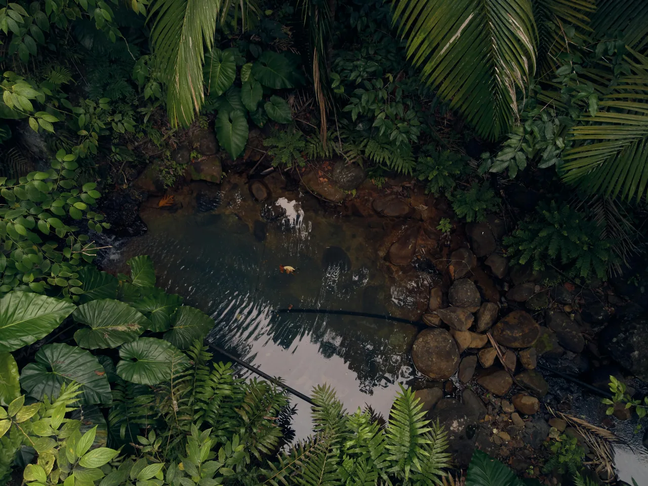 Guadeloupe — top activites