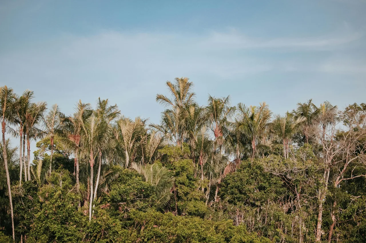 Guyane — guide de voyage