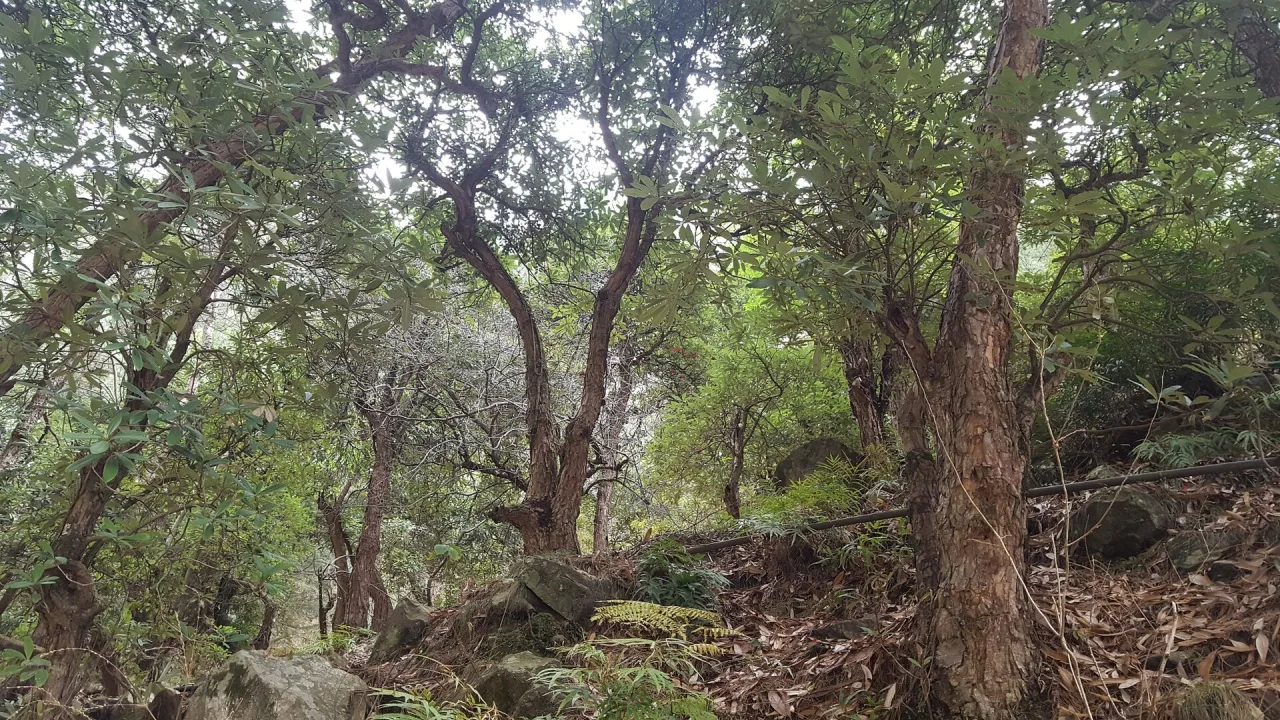 Himachal Pradesh — guide de voyage