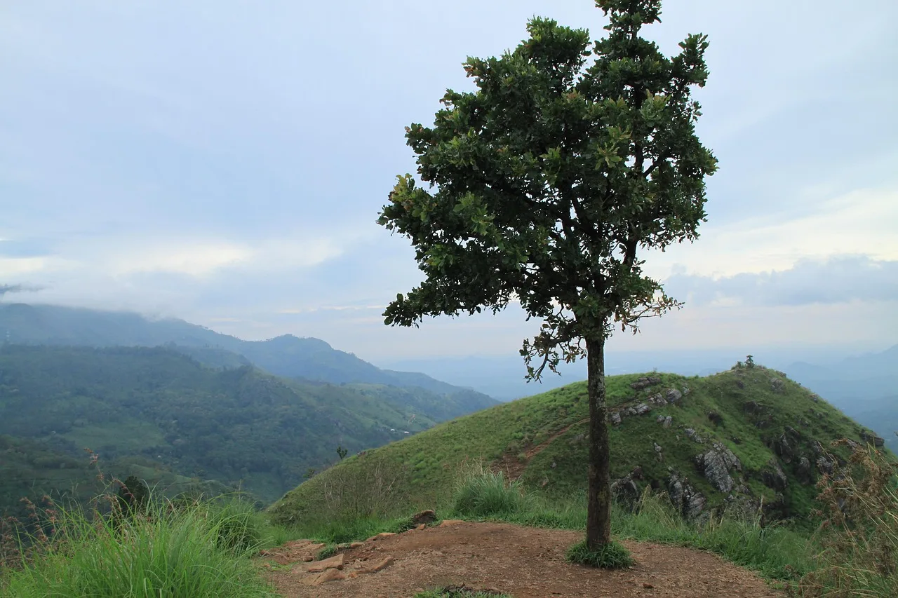 Hongrie — trek randonnee