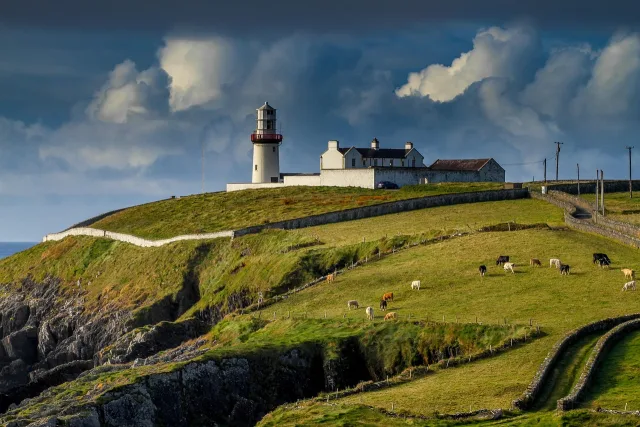 Irlande — gastronomie