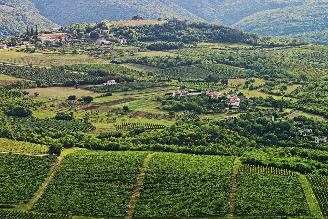 Istrie — hub principal region