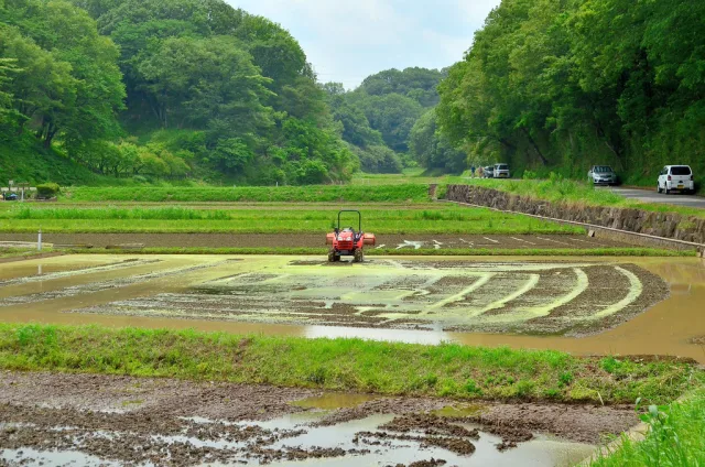 Tracteur rouge labourant les rizières inondées d'un village rural japonais entouré de forêts verdoyantes