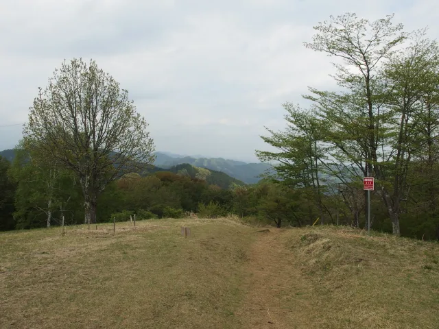 Route de terre traversant une clairière avec montagnes boisées en arrière-plan au Japon