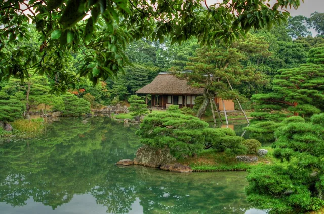 Jardin japonais traditionnel avec pavillon au toit de chaume, bassin d'eau et bonsaïs