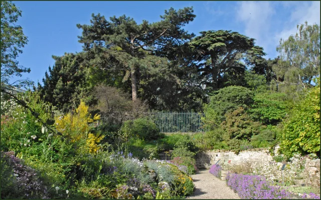 Jardin méditerranéen avec grands arbres, fleurs violettes et blanches, allée pavée