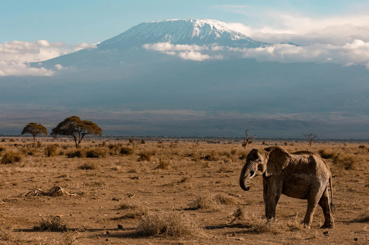 Kenya — guide de voyage