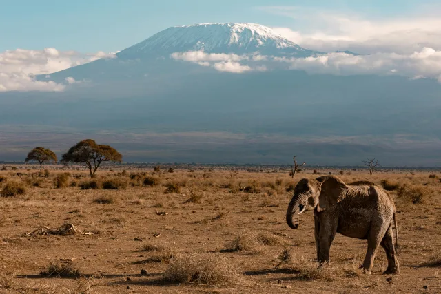 Kenya — guide de voyage