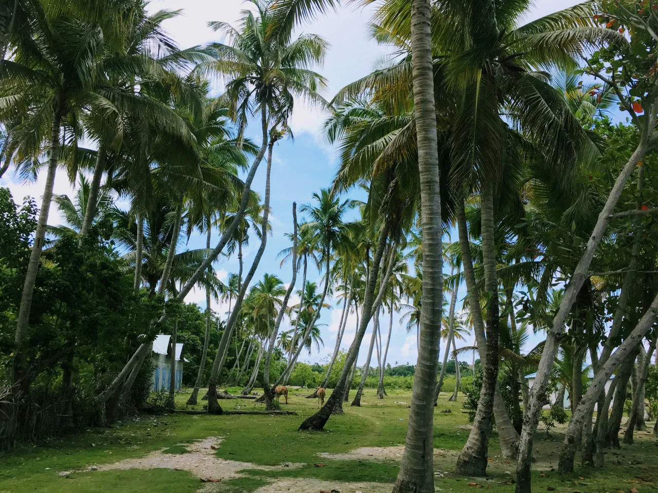 Koh Phangan — hub principal ile