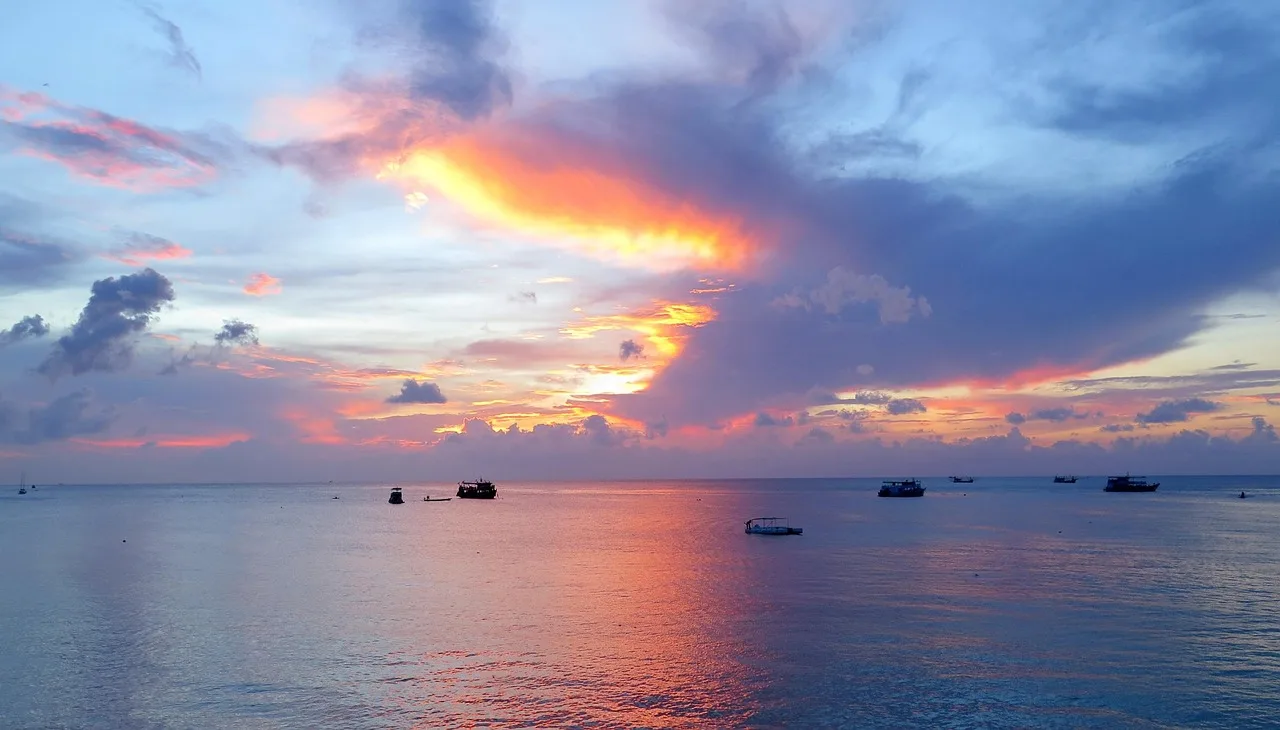 Koh Tao — hub principal ile