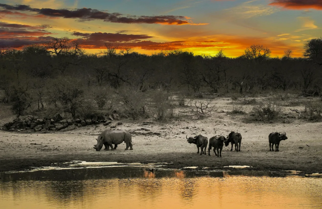 Région Kruger — guide de voyage