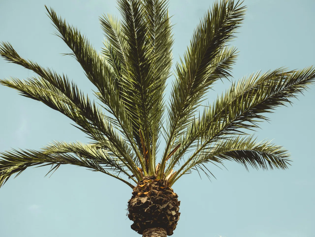 La Palma — que voir