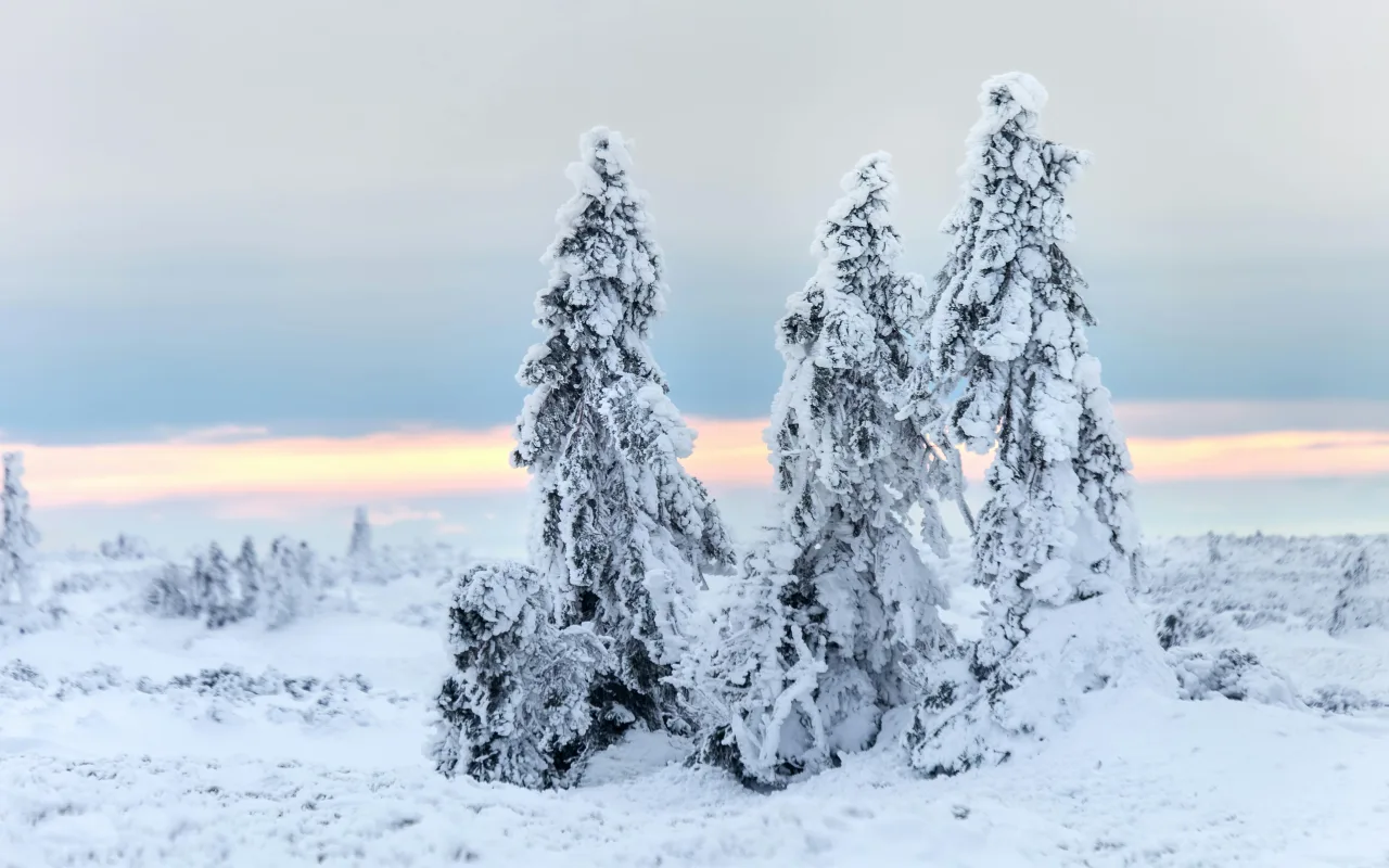 Laponie finlandaise — guide de voyage